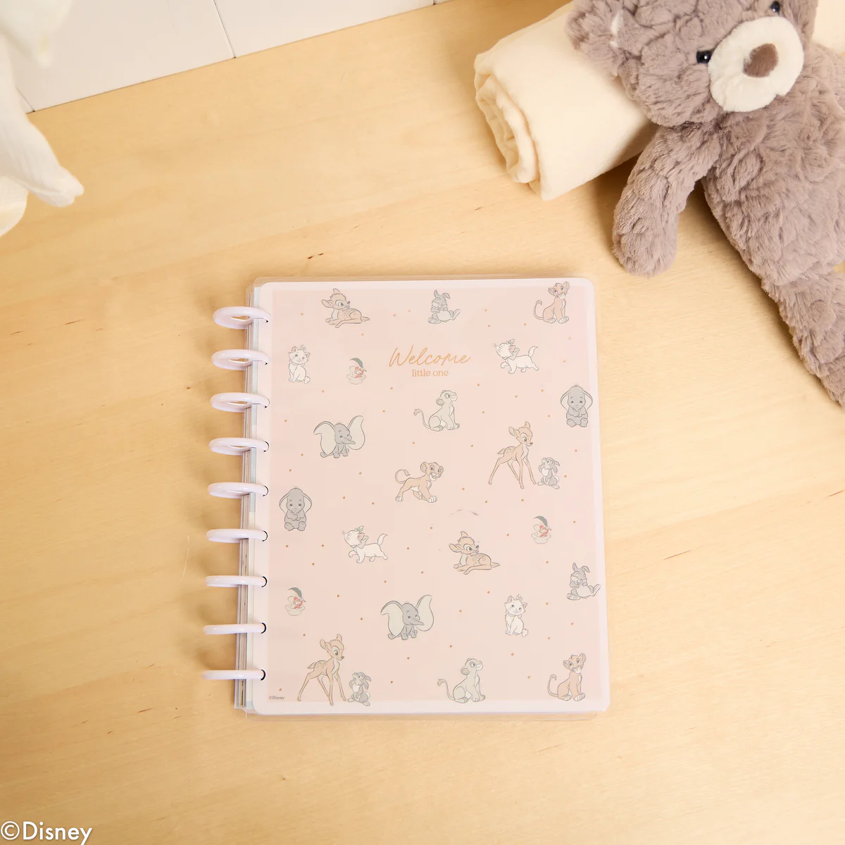 Undated Disney Welcome Little One Customizable Baby Planner - Classic Baby's First Year Layout - 12 Months - Image 12