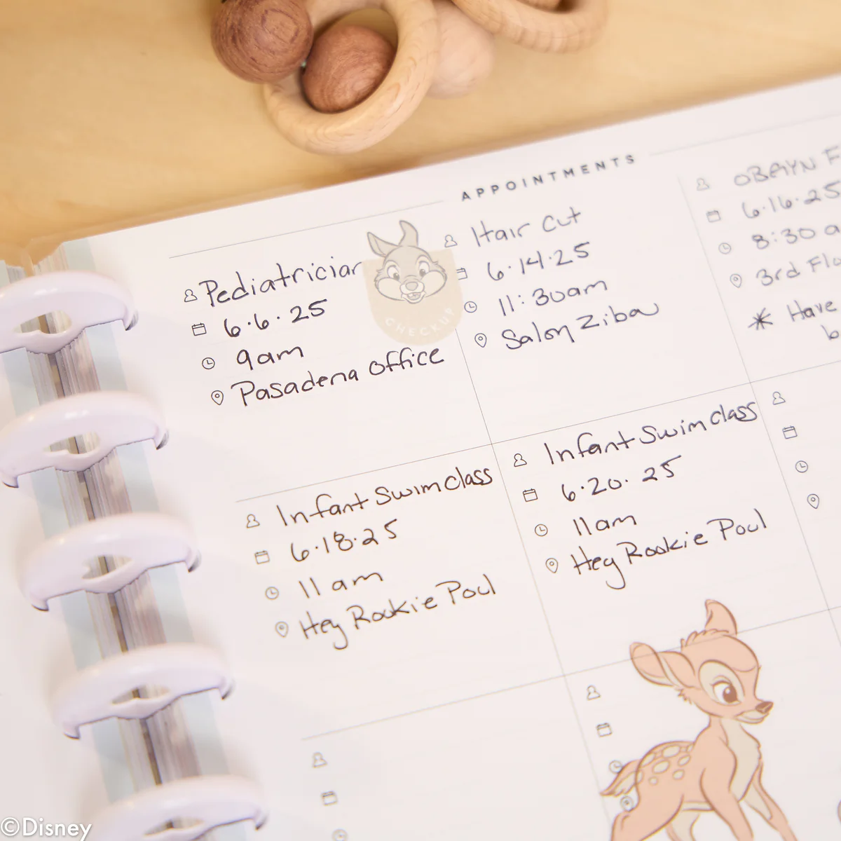 Undated Disney Welcome Little One Customizable Baby Planner - Classic Baby's First Year Layout - 12 Months - Image 4