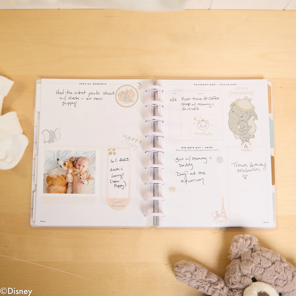 Undated Disney Welcome Little One Customizable Baby Planner - Classic Baby's First Year Layout - 12 Months - Image 9