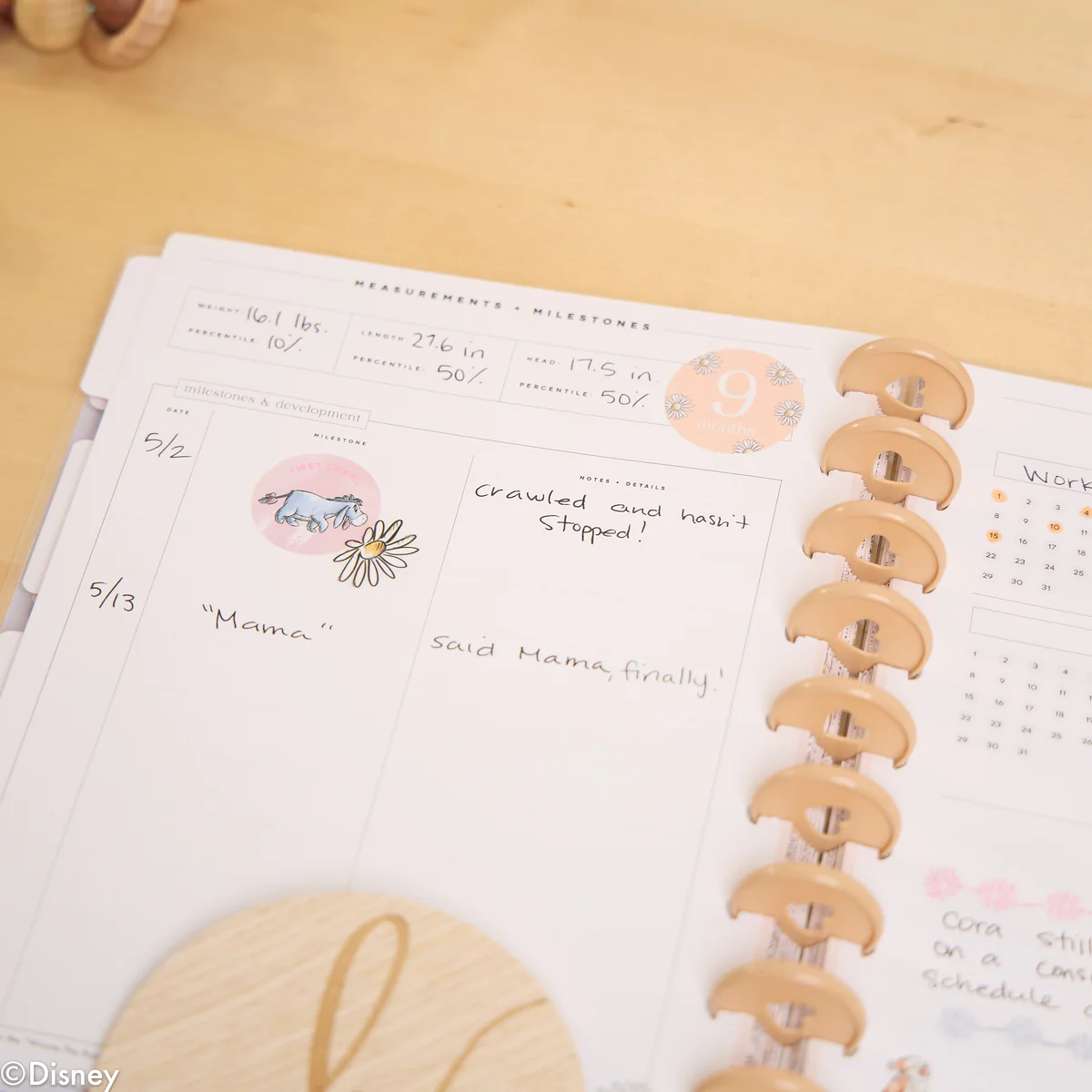 Undated Disney Winnie the Pooh Customizable Baby Planner -  Classic Baby's First Year Layout - 12 Months - Image 11