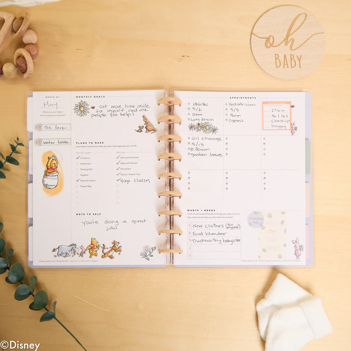 Undated Disney Winnie the Pooh Customizable Baby Planner -  Classic Baby's First Year Layout - 12 Months - Image 27