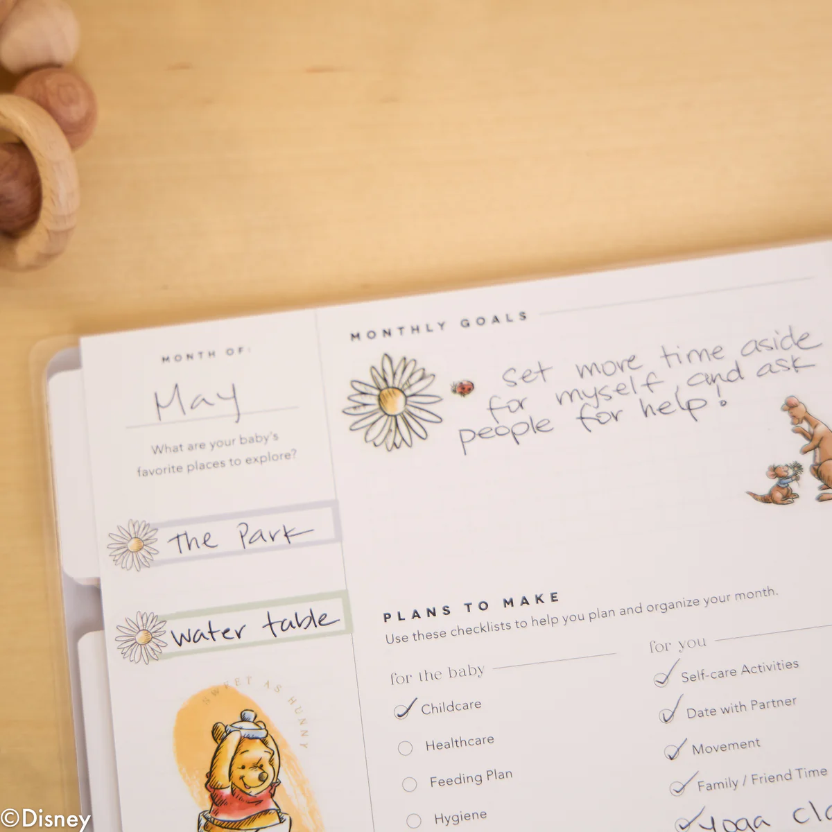 Undated Disney Winnie the Pooh Customizable Baby Planner -  Classic Baby's First Year Layout - 12 Months - Image 8