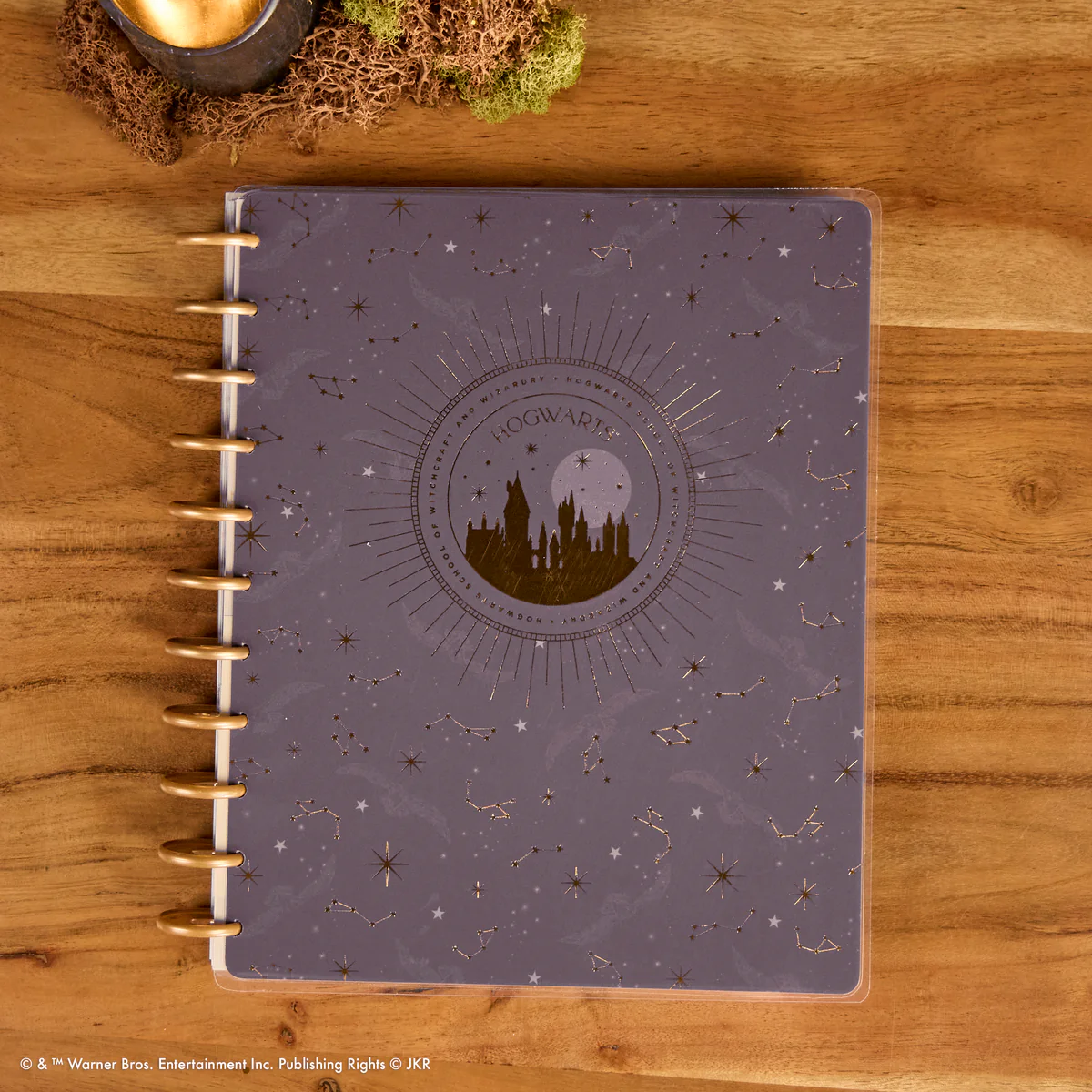 Undated Harry Potter Customizable Planner - Big Color Block Layout - 12 Months - Image 3