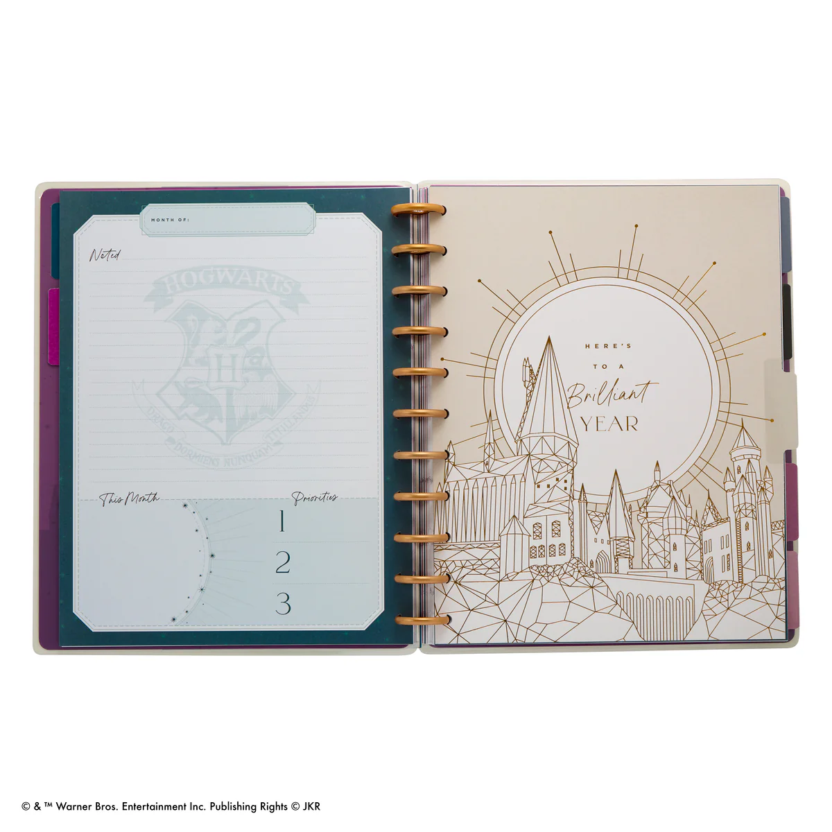 Undated Harry Potter Customizable Planner - Big Color Block Layout - 12 Months - Image 5