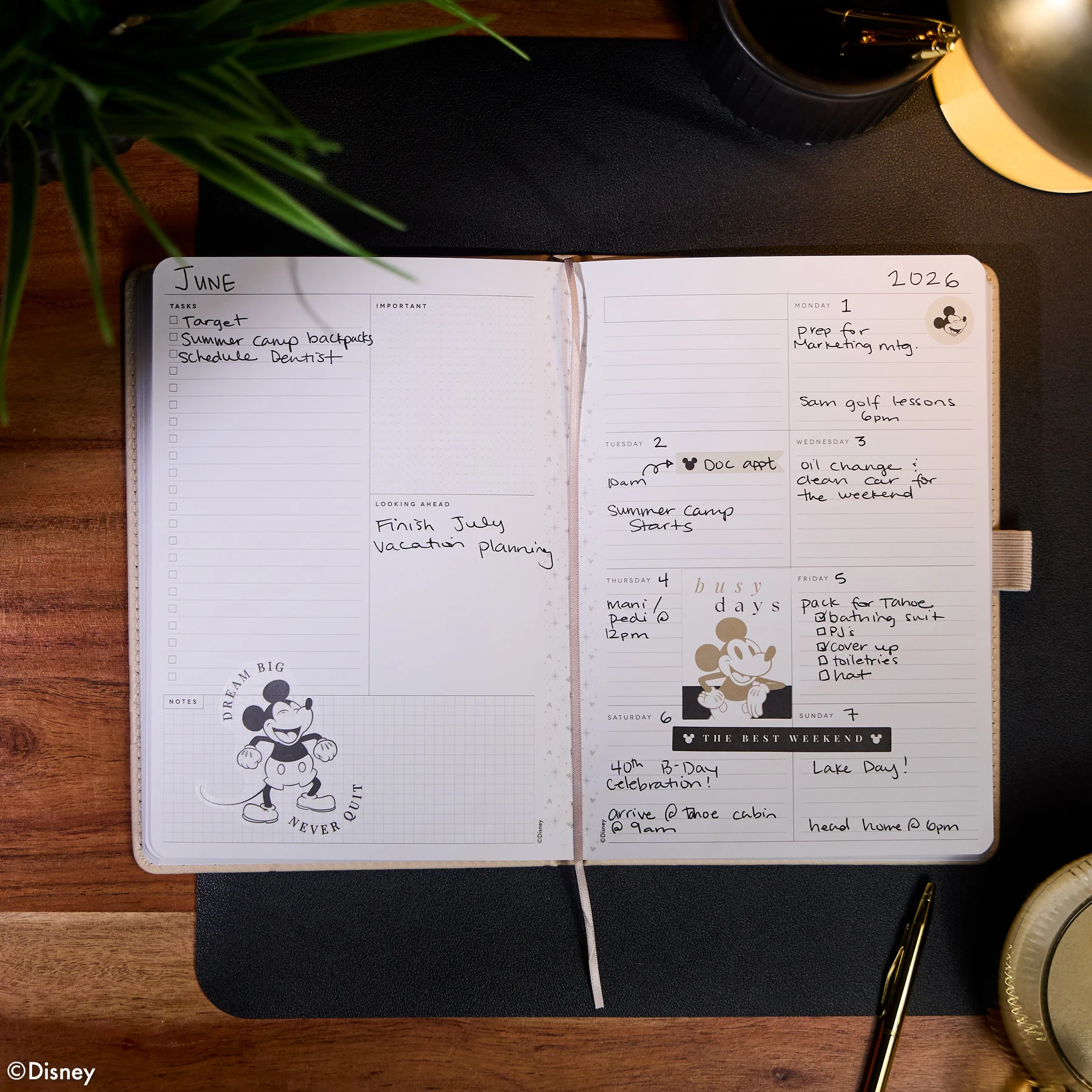 Undated Premium Ivory Disney Mickey Mouse Book Bound Planner - Small Dashboard Layout - 12 Months - Image 5