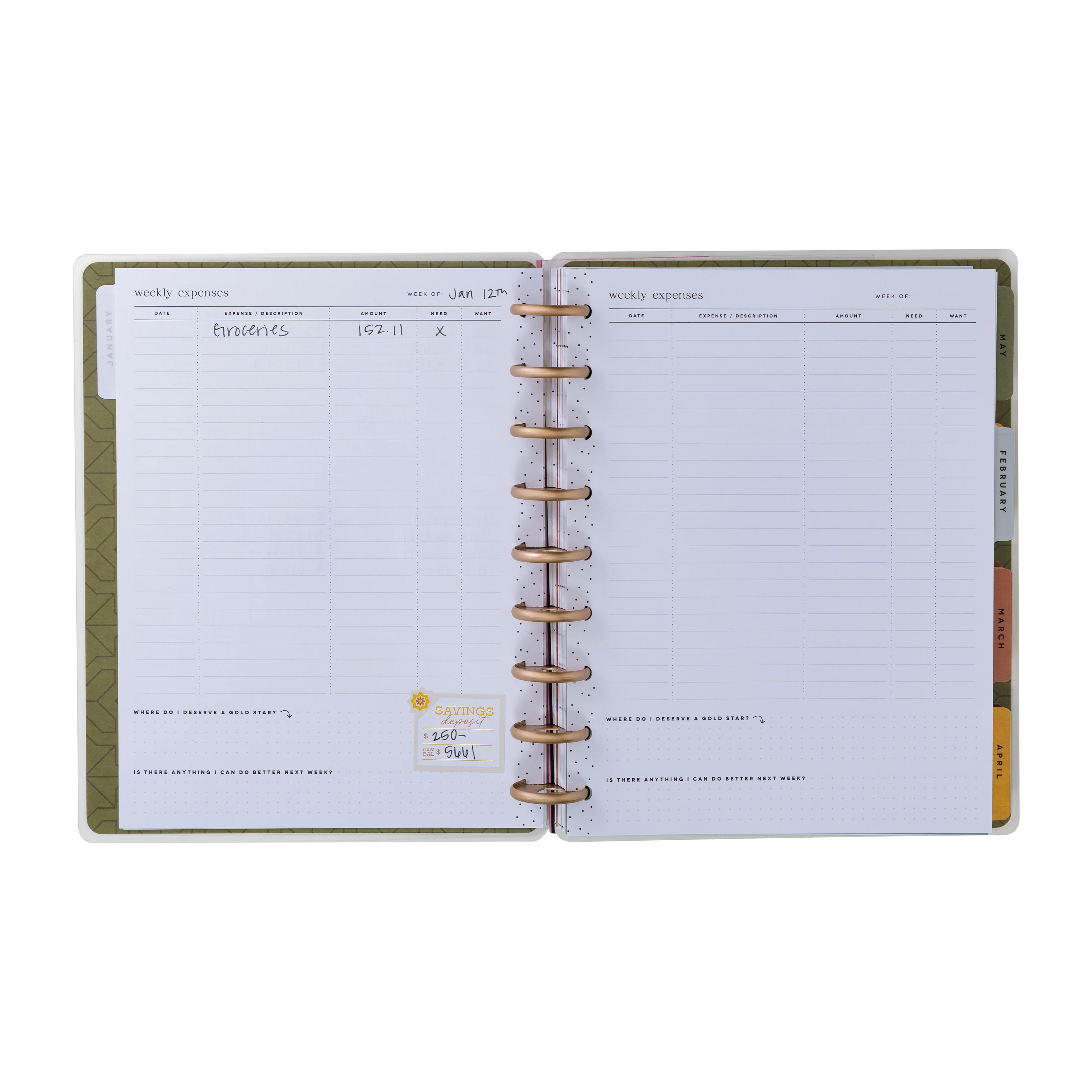Undated Sage & Terracotta Customizable Budget Planner - Classic Budget Layout - 12 Months - Image 6