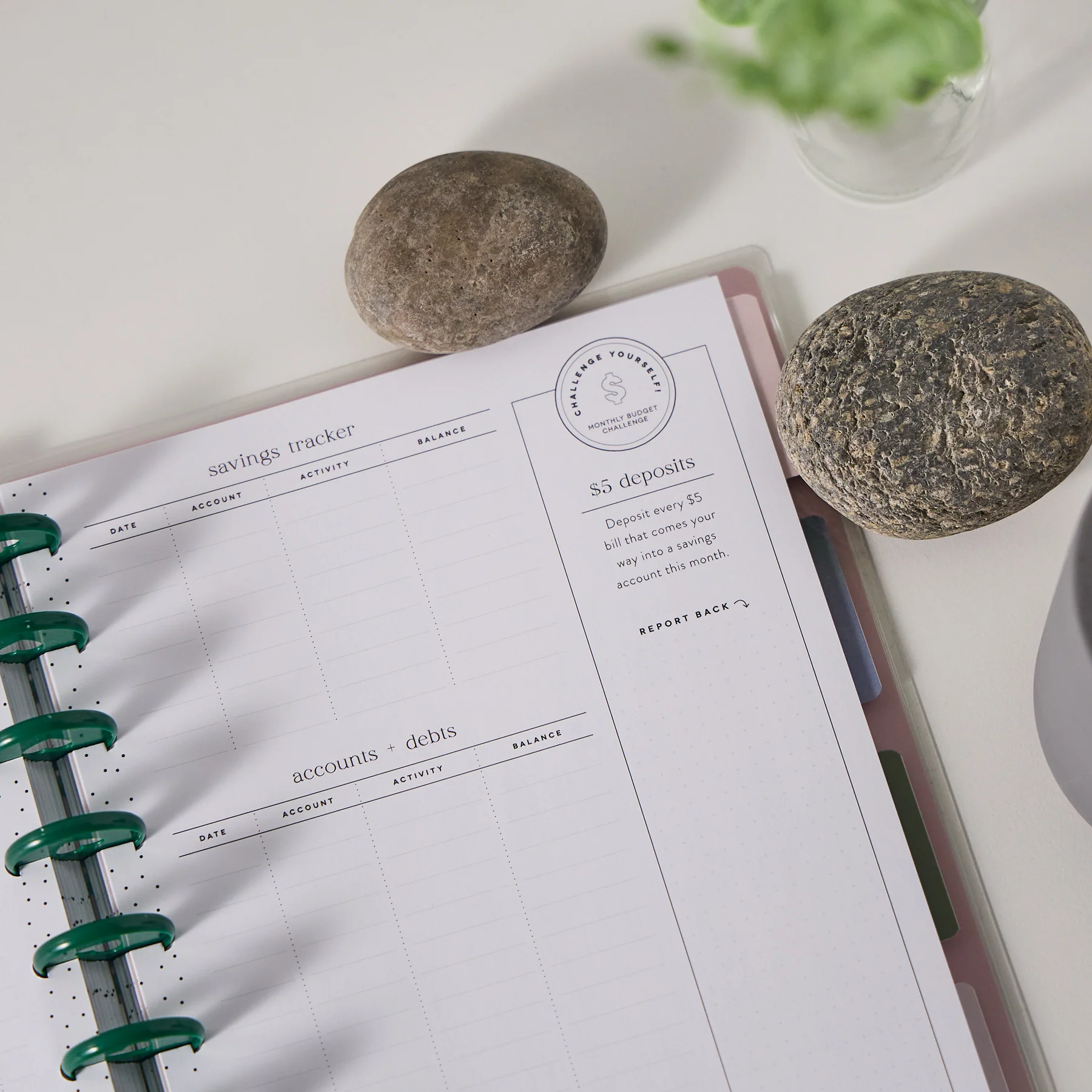 Undated Savvy Budgeter Customizable Budget Planner - Classic Budget Layout - 12 Months - Image 11